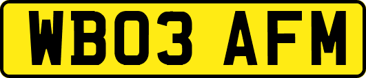 WB03AFM