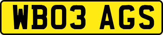 WB03AGS