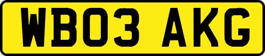 WB03AKG