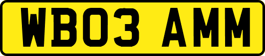 WB03AMM