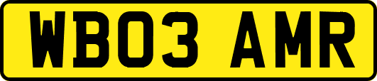 WB03AMR