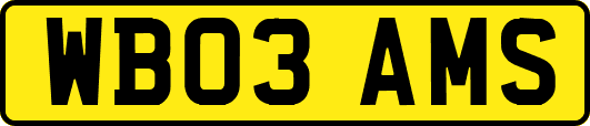 WB03AMS