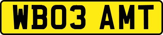 WB03AMT