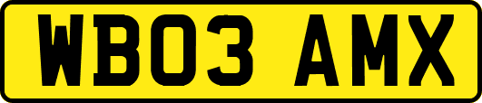 WB03AMX