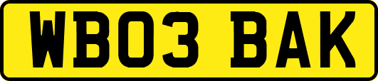 WB03BAK