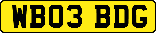WB03BDG