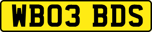 WB03BDS