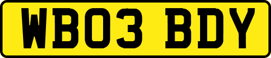 WB03BDY
