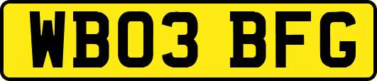 WB03BFG