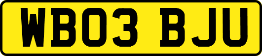 WB03BJU