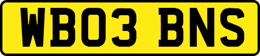 WB03BNS
