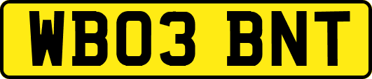 WB03BNT