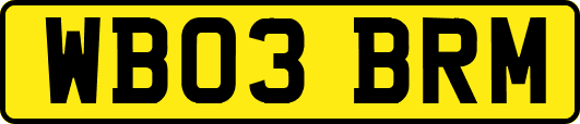 WB03BRM