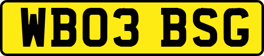 WB03BSG