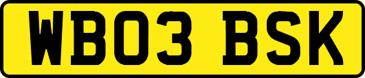 WB03BSK