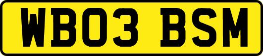 WB03BSM