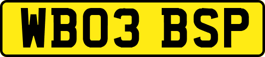 WB03BSP