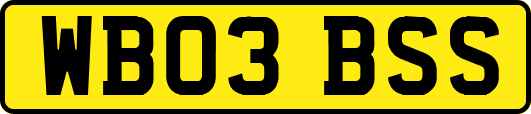 WB03BSS