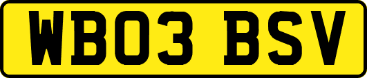 WB03BSV