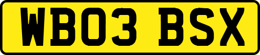 WB03BSX