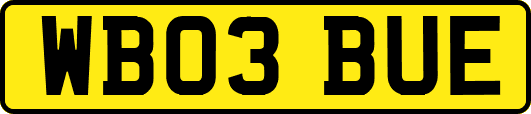 WB03BUE