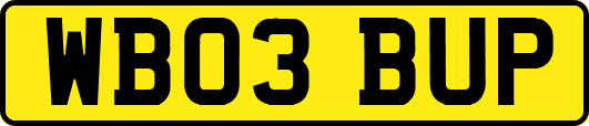 WB03BUP