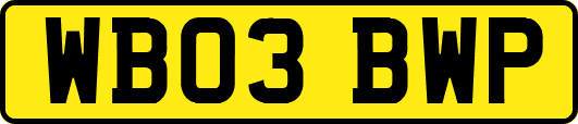 WB03BWP