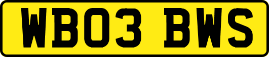 WB03BWS