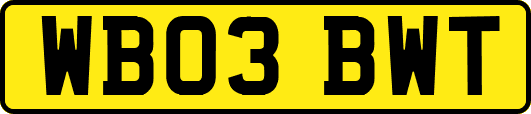 WB03BWT