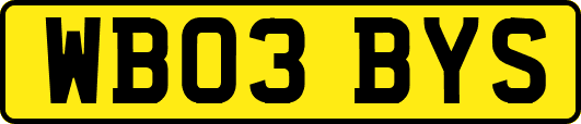WB03BYS