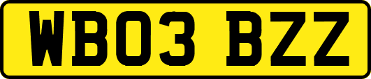 WB03BZZ
