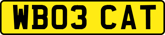 WB03CAT