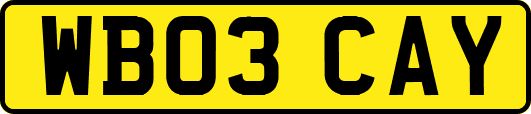 WB03CAY