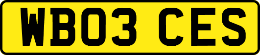 WB03CES