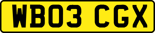 WB03CGX