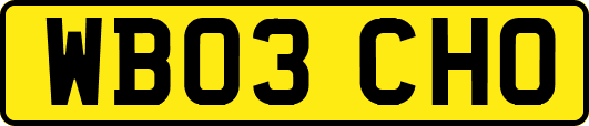 WB03CHO