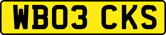 WB03CKS