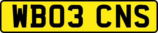WB03CNS