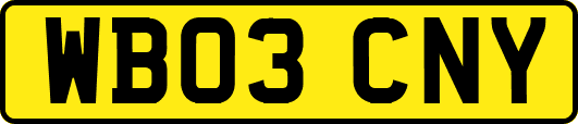 WB03CNY