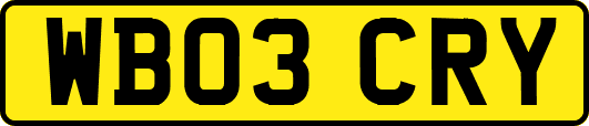 WB03CRY