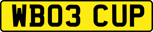 WB03CUP