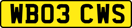 WB03CWS