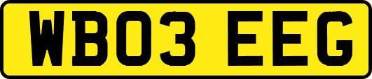 WB03EEG
