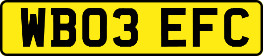 WB03EFC