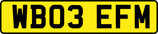 WB03EFM
