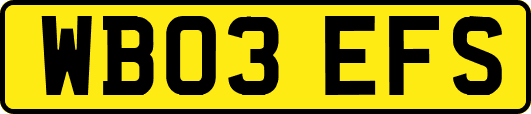 WB03EFS