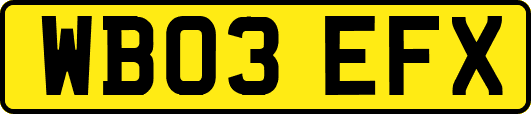 WB03EFX