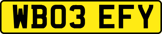 WB03EFY