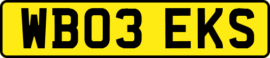 WB03EKS