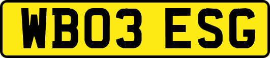 WB03ESG